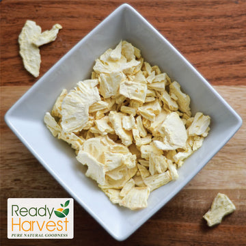 Ready Harvest Freeze Dried Pineapples for Emergency Food Storage | 30 Year Shelf Life | 1 Can