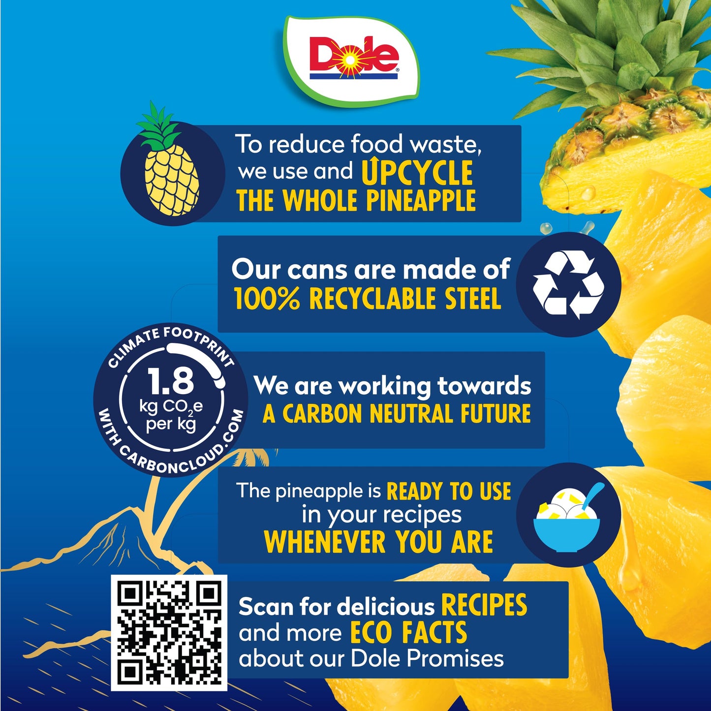 Dole Tropical Gold Pineapple Chunks in 100% Juice, Gluten Free, 15.25 Oz, 12 Count