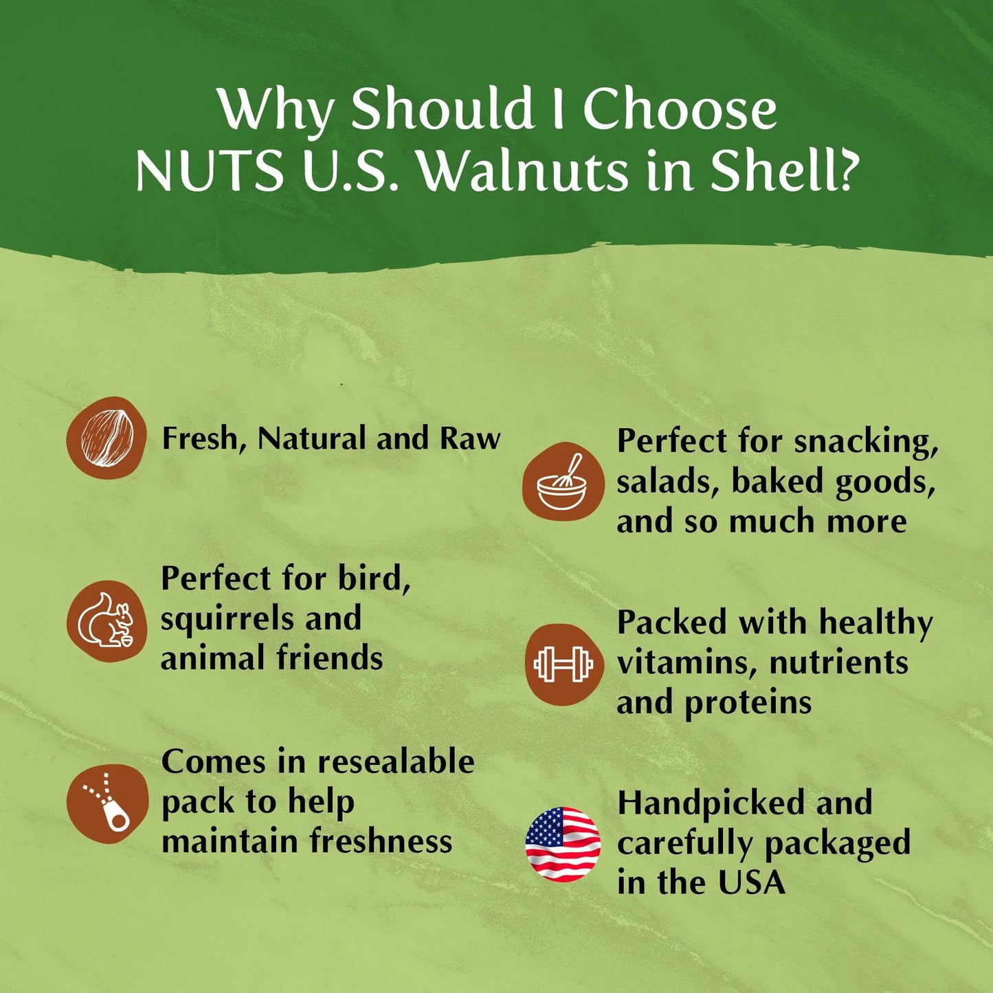 NUTS - U.S. Walnuts In Shell, Chandler Variety, Non-GMO, Raw, 12 LBS
