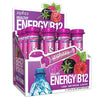 Zipfizz Daily Energy Drink Powder, Sugar-Free, Electrolyte Powder, 12 Pack, Berry Flavor, Model 12BERRY, 0.39 Ounce Each