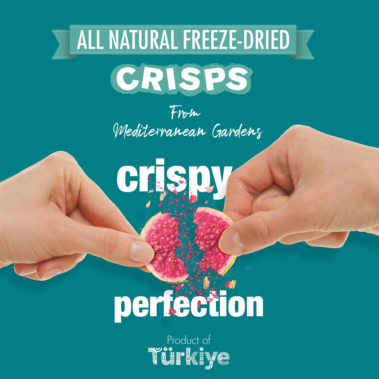 Mag Freeze Dried Variety Pack Assorted Mix Fruits For Salad Smootie Muesli Topping Baking Food Natural Fresh Fruit Slices No Sug