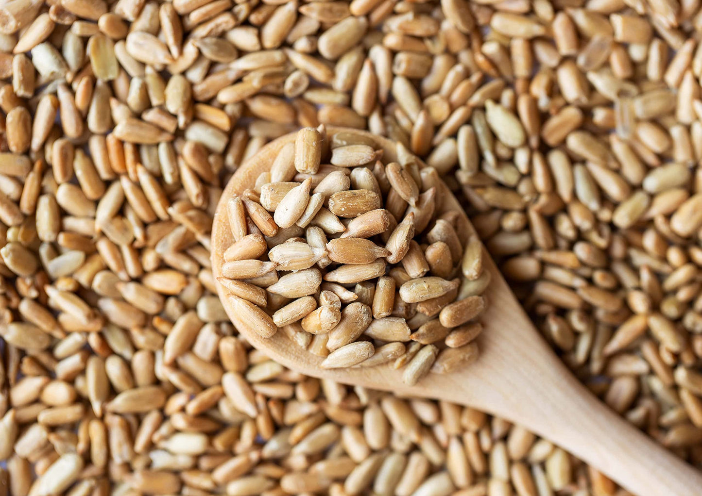 Food To Live - Dry Roasted Sunflower Seed Kernels With Himalayan Salt, 8 Ounces - Oven Roasted Lightly Salted, No Shell, Vegan,