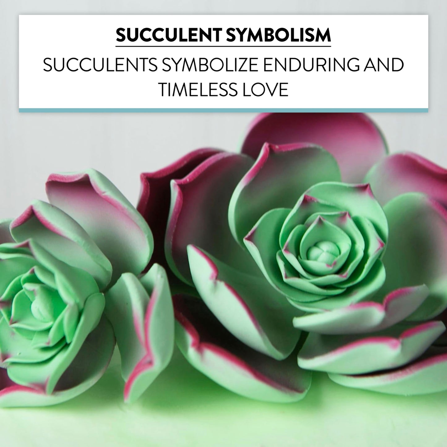 Global Sugar Art Succulent Taurus Sugar Cake Flowers Assortment With Wire, 3 Count By Chef Alan Tetreault