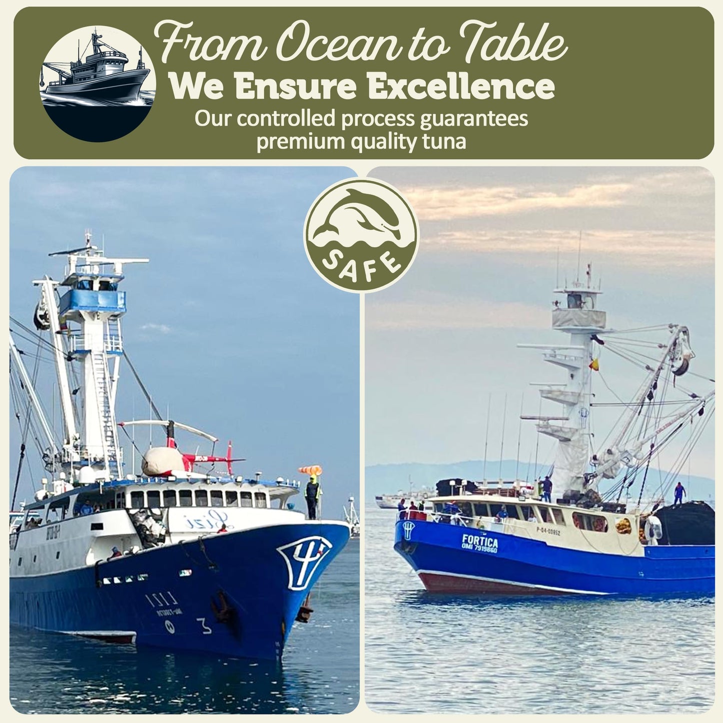 Onboard Premium Yellowfin Tuna In Olive Oil - 12 Pack Solid Light 5 Oz Cans Sustainably Wild Caught Canned Tuna, Non Gmo, Gluten