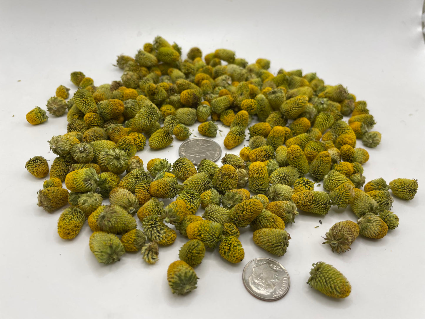 Dried Buzz Buttons Edible Flowers Aka Spilanthes Aka Toothache Plant (1 Ounce Tincture Grade)