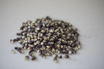 Amish Country Popcorn | 50 lbs Bag Blue Kernels | Old Fashioned, Non-GMO and Gluten Free (50lbs Bag)