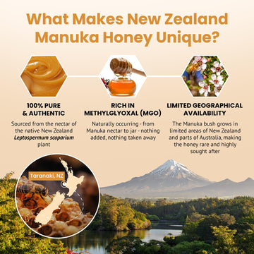 Bees & Trees New Zealand Manuka Honey 550+ and 350+ MGO - Pure, Raw, Unpasteurized Monofloral Superfood Honey for Wellness & Vit