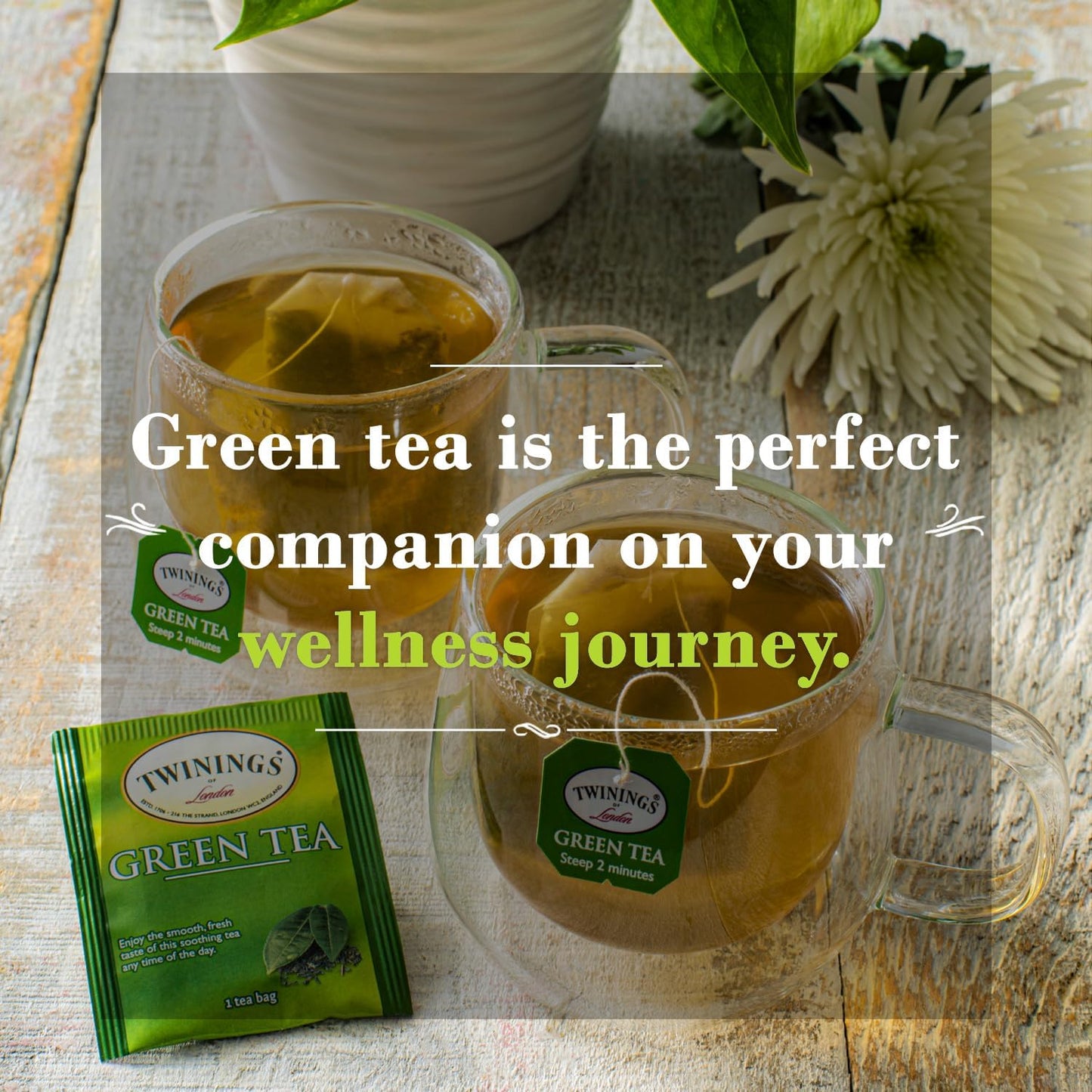 Twinings Tea All Natural, Certified Kosher Green Tea Bags 50 Count