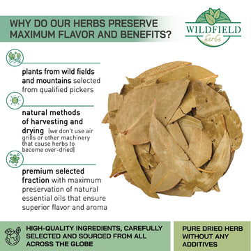 4 Oz Dried Eucalypt Leaves Dry Herbal Tea (Eucalyptus) 113G Long Big Eucalyptus Leaf Herb Hojas De Eucalipto