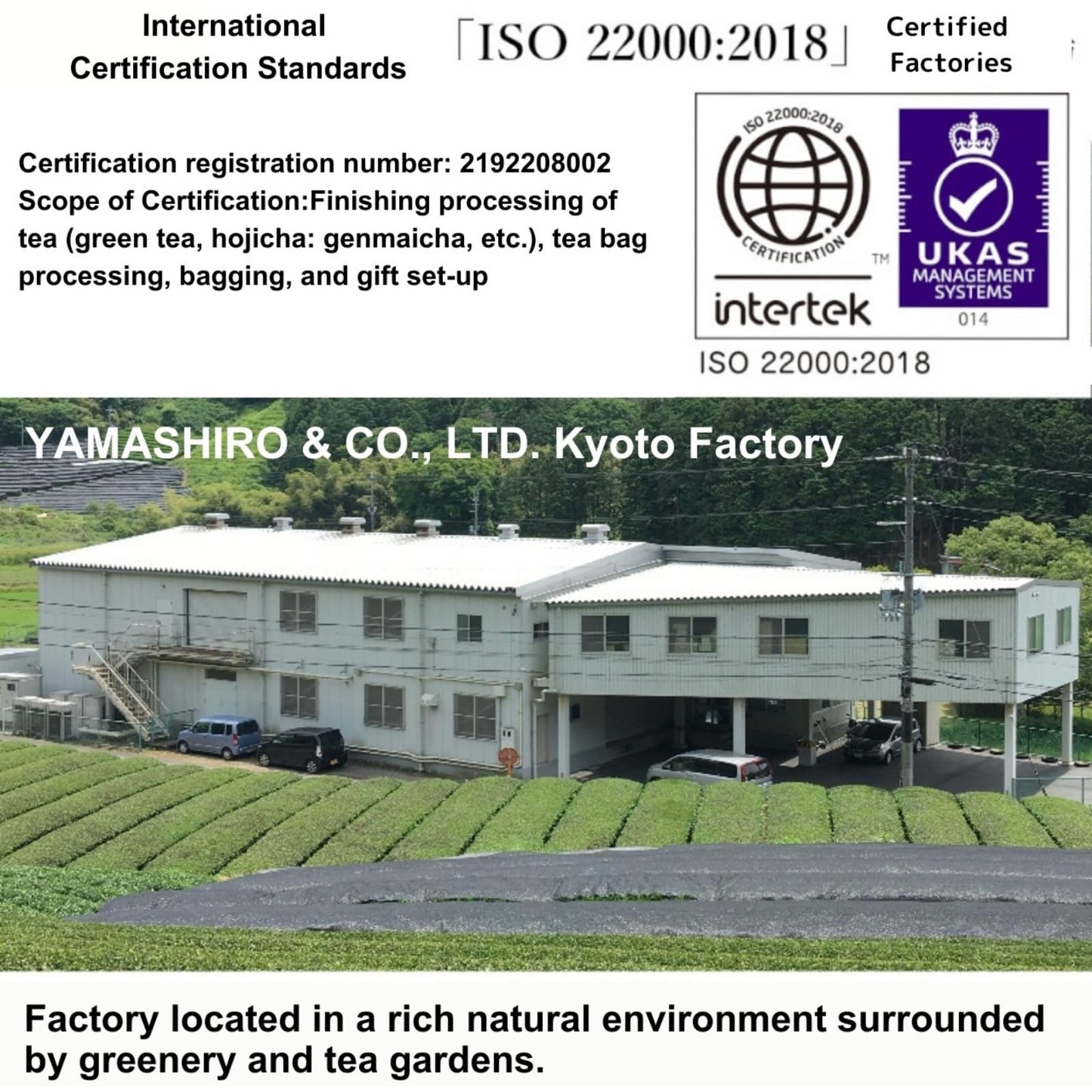 Japanese Green Tea Bags With Gyokuro- Selected By Expert Tea Appraiser And Tea Master - 20 Count - Gyokuro Green TeaKyoto - Yam