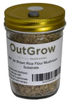 Brf Jars Brown Rice Flour Mushroom Substrate