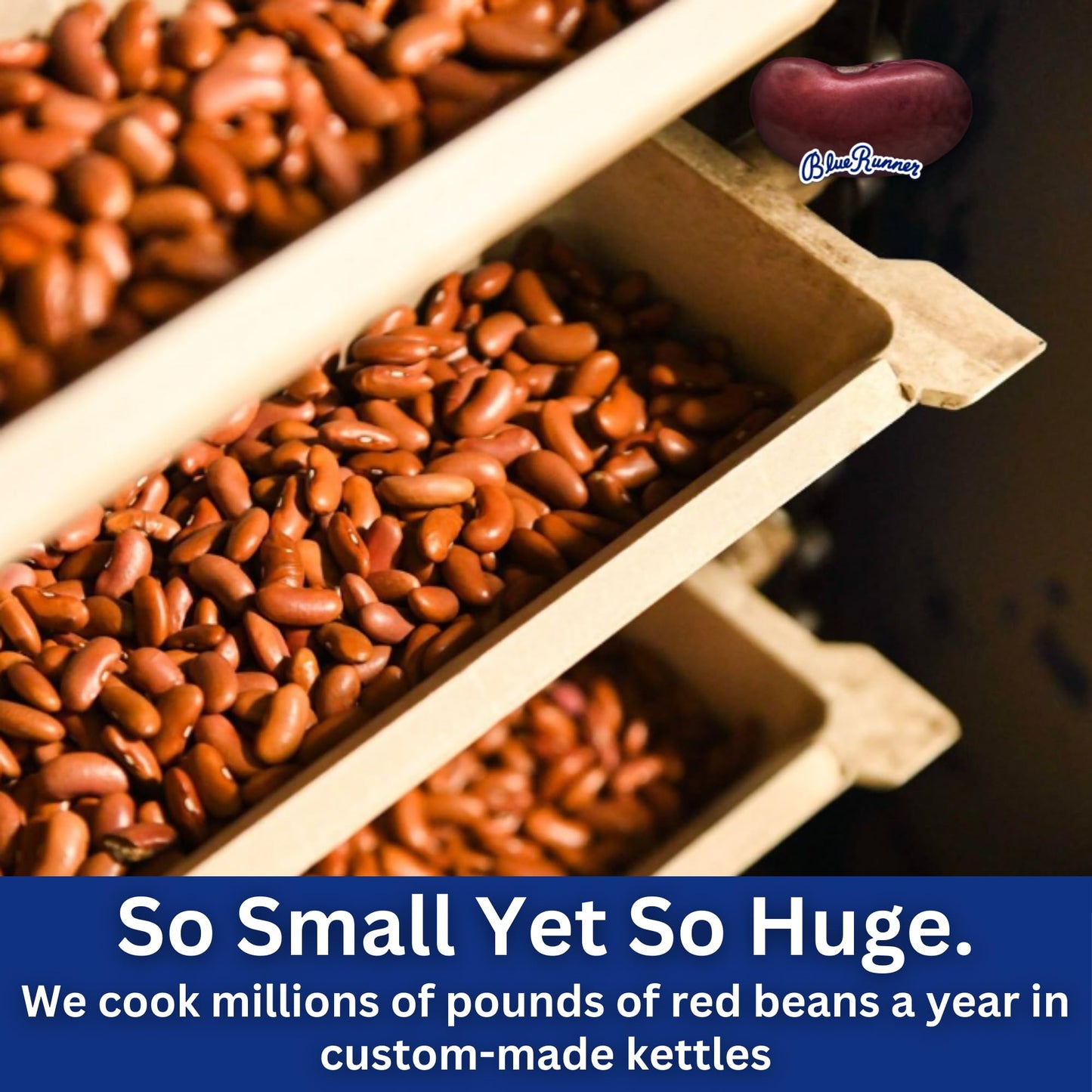 Blue Runner Creole Cream Style Red Beans 16 Oz (Pack Of 6) - New Orleans Best Authentic Red Beans - Slow Cooked to Perfection -