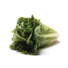 Romaine Lettuce, 1 Each