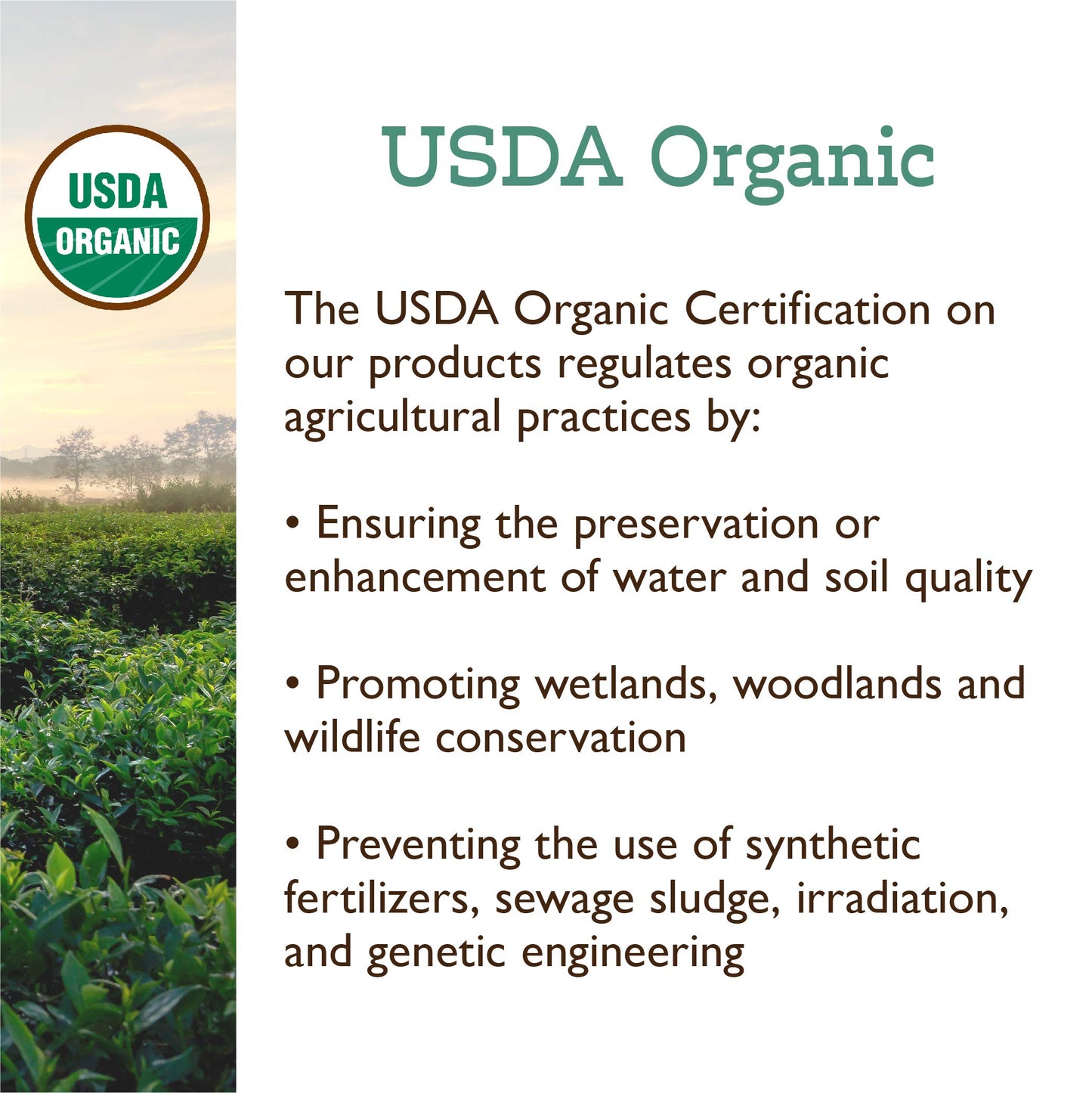 Positively Tea Company, Organic Pinhead Gunpowder, Green Tea, Loose Leaf, 16 Ounce