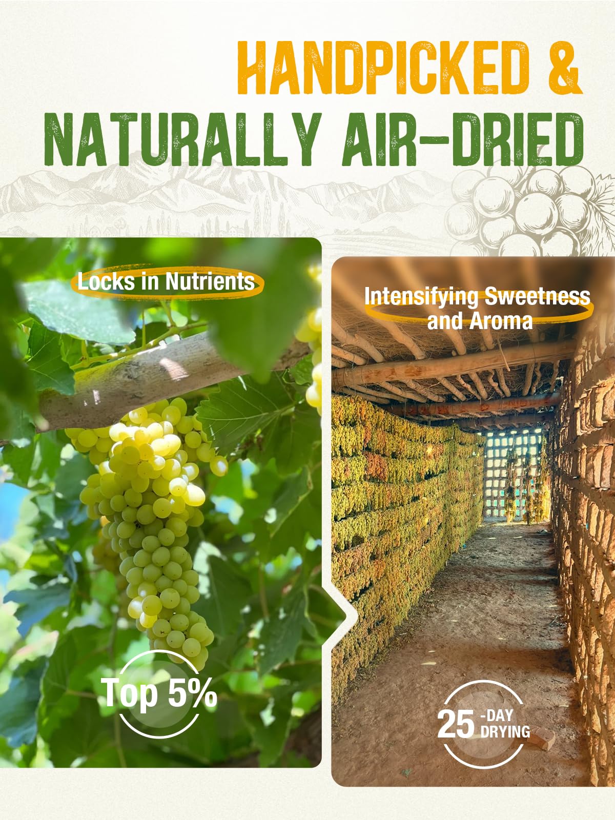 Naturebliss Premium Golden Raisins, Seedless Dried Fruit Snack, No Sugar Added, Non-GMO, 11 Ounce