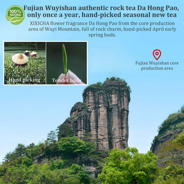 Xixicha Dahongpao Oolong Tea Grade Aaa (Super Grade) Floral Dahongpao 4.23Oz (120G) China Wuyi Mountain Flower Fragrance Big Red
