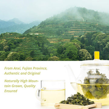 Oriarm Anxi Tieguanyin Oolong Tea 100g - Chinese Tie Guan Yin Loose Leaf Tea - Fujian Wu Long Green Tea Ti Kuan Yin