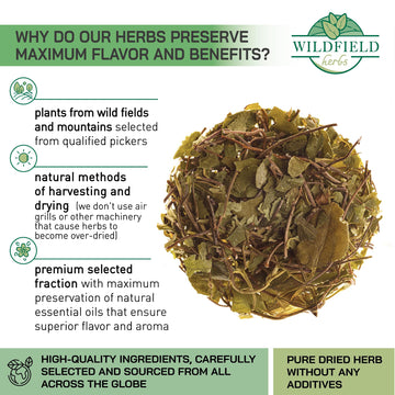 1.8 Oz. Dried Cut Sidebells Wintergreen Herb Tea (Orthilia Secunda L.) - 50G One-Sided Wintergreen Herbal Tea Matka Borova
