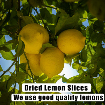 Dried Lemon Slices 2.5Oz/70G,Natural Dehydrated Lemon Slices For Cocktails Garnish/Potpourri/Cake Decoration/Crafts,Dried Citrus