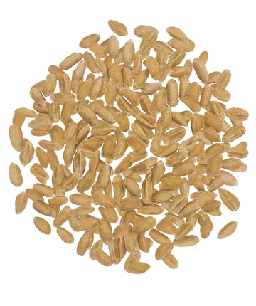 Spelt Berries | 4 Lb | Vegan | Non-Gmo | Clear Creek Foods | Spelt Wheat Berries