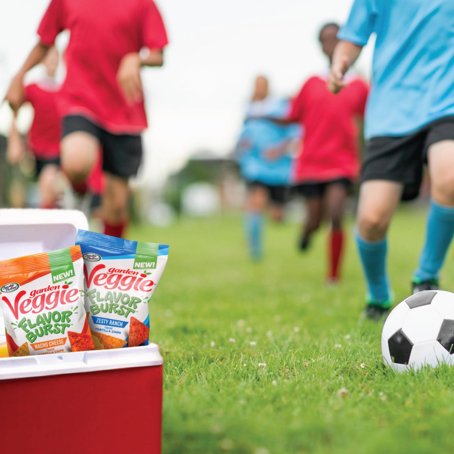 Sensible Portions Garden Veggie Flavor Burst Tortilla Chips, Nacho, 6 Oz