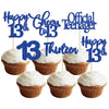 30 Pack Happy 13Th Birthday Cupcake Toppers Dark Blue Glitter 13 Official Teenager Cheers To 13 Years Old Birthday Cupcake Picks