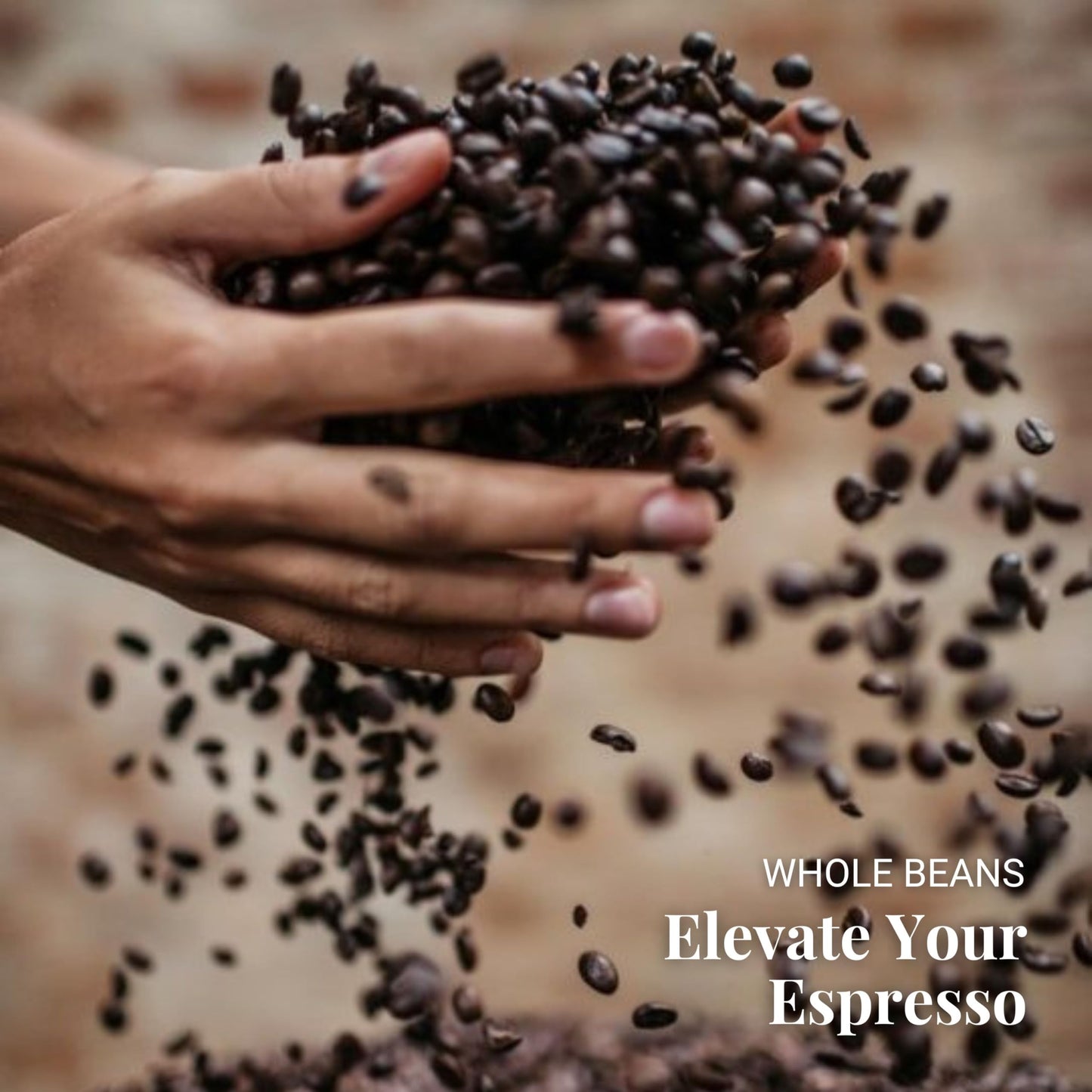 Caffe Vergnano 1882 Antica Bottega Whole Bean Arabica Medium Roast Espresso - Italian Coffee Beans Chocolate, Nuts And Caramel N