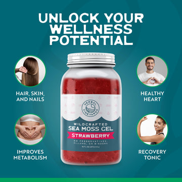 Herbal Vineyards Wildcrafted Irish Strawberry Sea Moss Gel 16 Oz - Organic Seamoss Gel Made With Dried Seaweed & Fresh Sea Veget