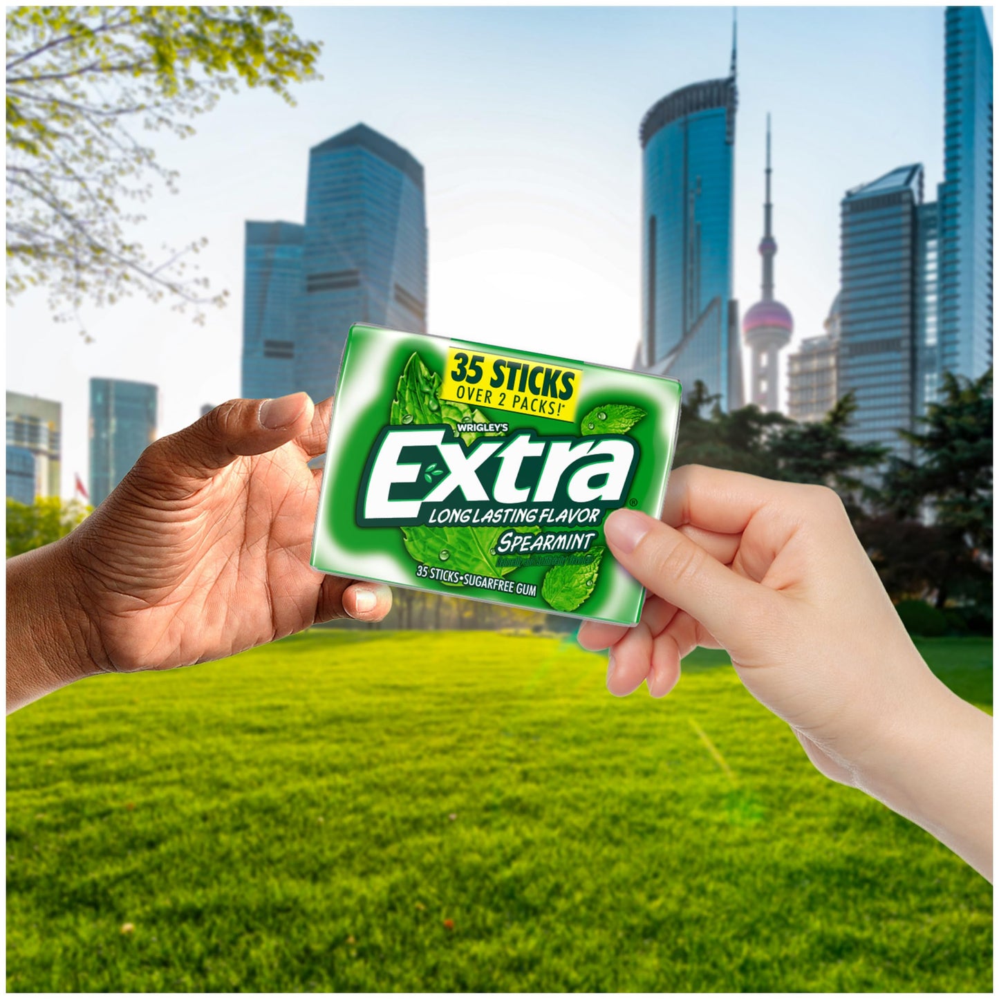 EXTRA Gum Spearmint, Bulk Chewing Gum Sugar-Free, Mega Pack of 6 with 35 Sticks Each