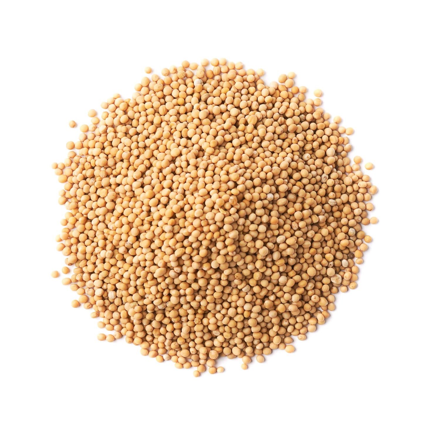 Organic Yellow Mustard Seeds, 3 Pounds – Non-Gmo, Whole Dried Spice, Vegan, Kosher, Bulk. Spicy, Pungent Flavor. High In Selenium, Fiber. Perfect For Pickling, Homemade Dips, Dressings, Marinades.