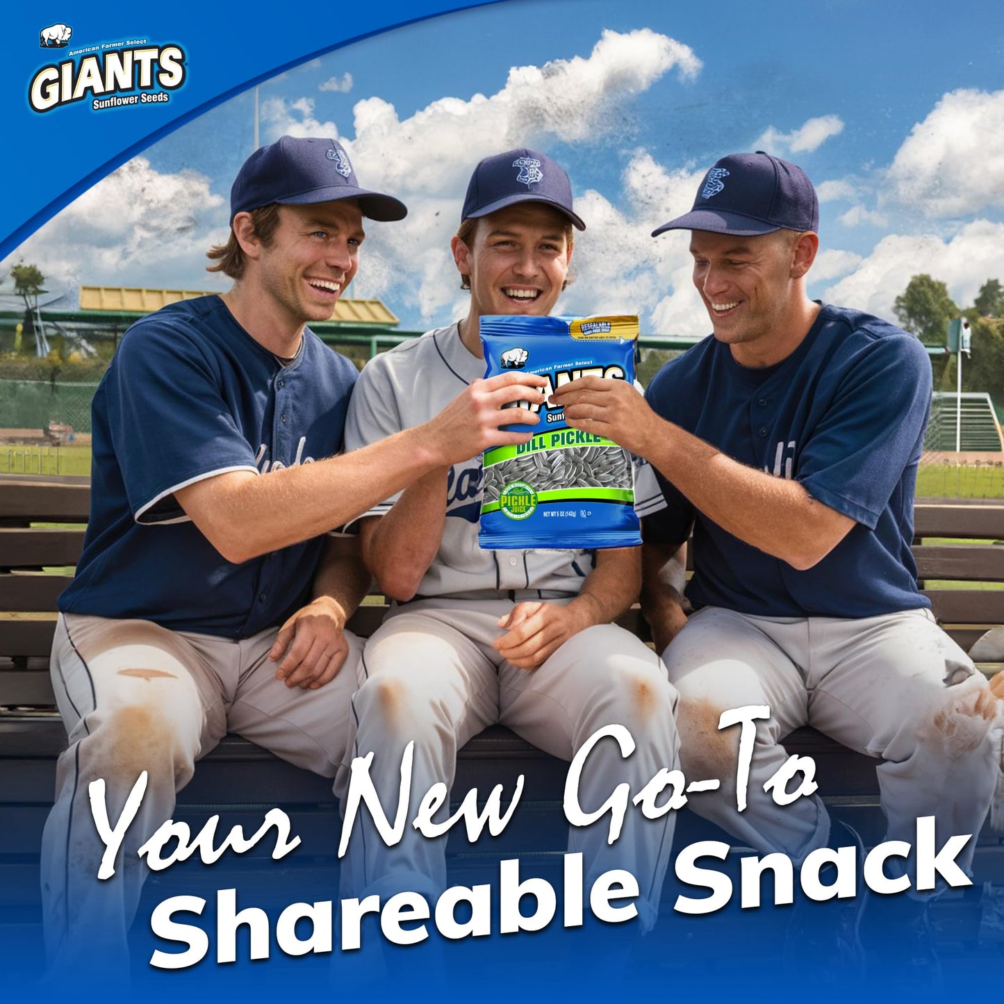 Giants Dill Pickle Sunflower Seeds - Sunflower Seeds Bulk, Big Sunflower Seeds To Eat, Roasted & Salted Sunflower Seeds For Eati