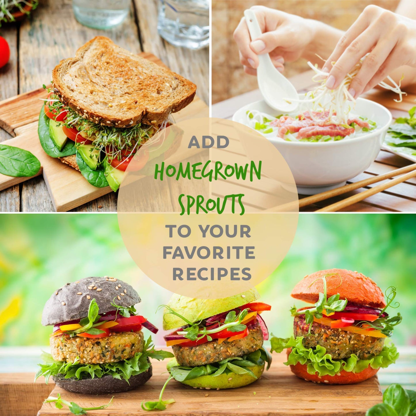 Organic Broccoli Sprouting Seeds by Handy Pantry | 4 oz. Resealable Bag | Non-GMO Broccoli Sprouts Seeds, Contain Sulforaphane