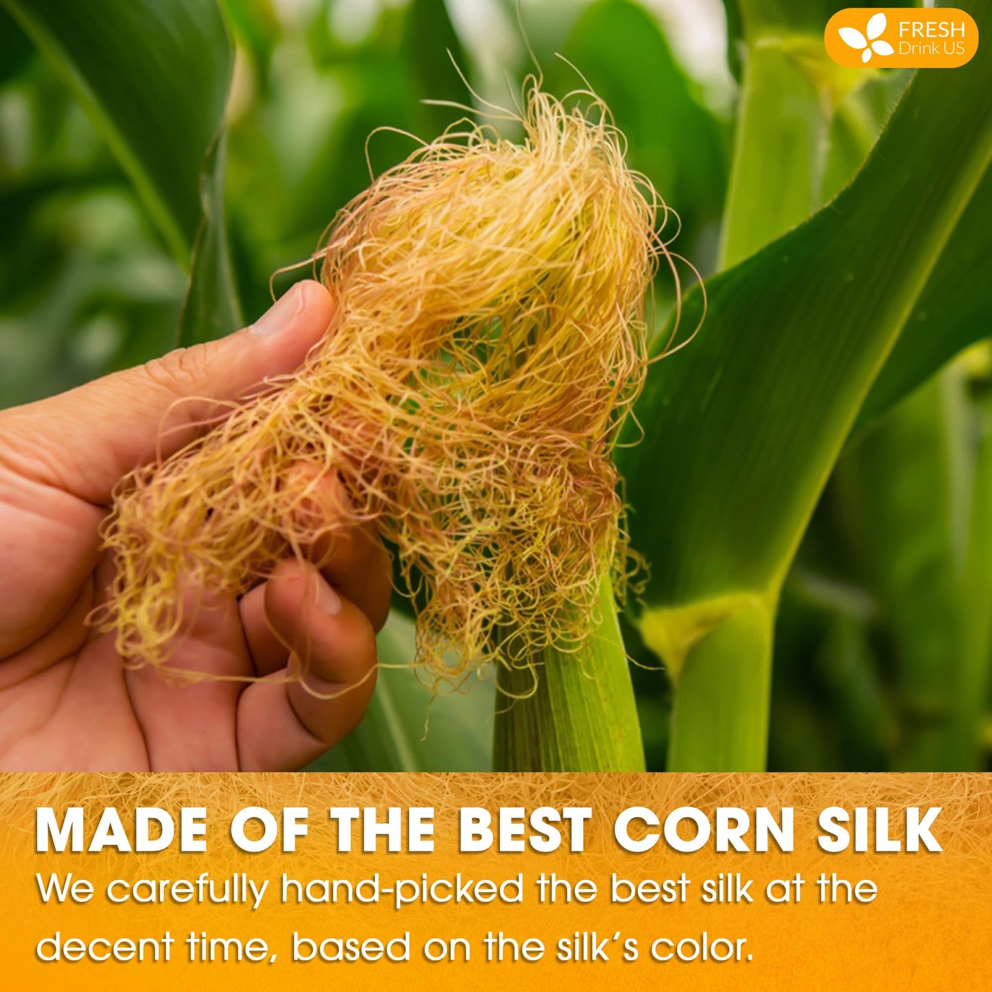 FRESHDRINKUS Corn Silk Herbal Tea, 100% Natural, 40 Tea Bags, No Sugar, No Caffeine, Vegan