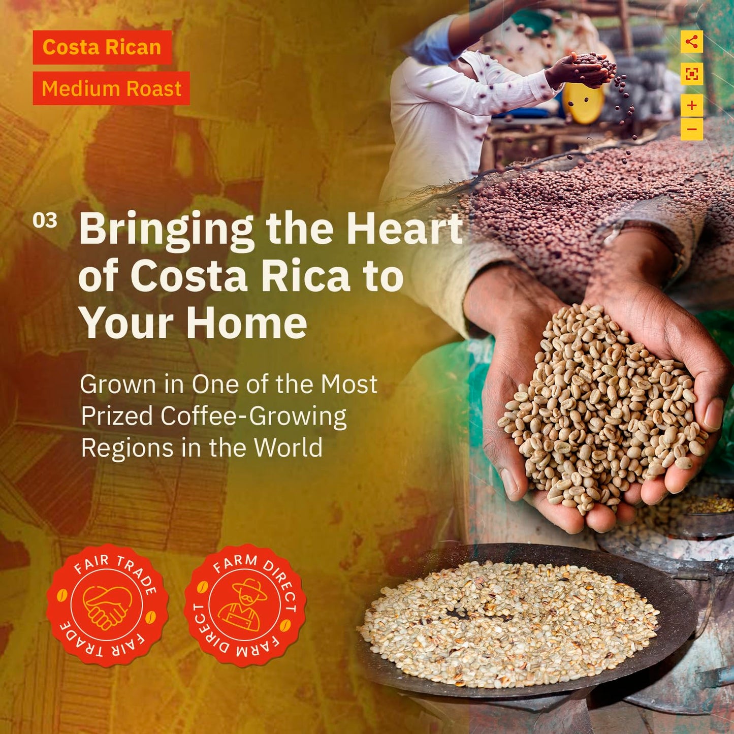 Costa Rican Whole Bean Coffee Medium Roast - 12 Oz, Single Origin Arabica Specialtycoffee Beans, Fair Trade, Non-Gmo