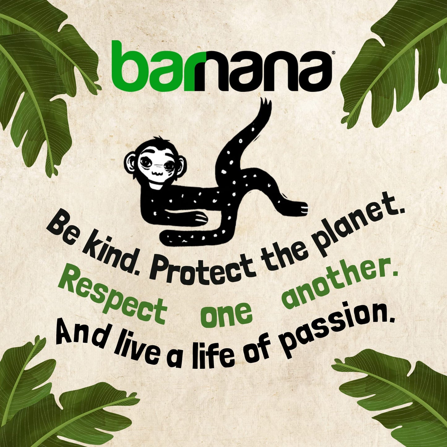 Barnana - Organic Chewy Banana Bites, Original, Chewy Banana Snack, Made With Real Fruit, High In Potassium, Kosher, Usda Organic, Paleo, Gluten-Free, Vegan (3.5 Oz, 6-Pack)
