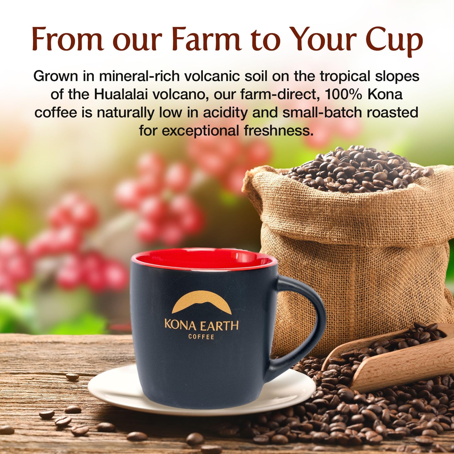 Kona Earth - Classic, 100% Kona Coffee Beans, Whole Farm-Fresh Classic Medium Roast Coffee Beans, Micro-Batch-Roasted, 1 Lb., Pa