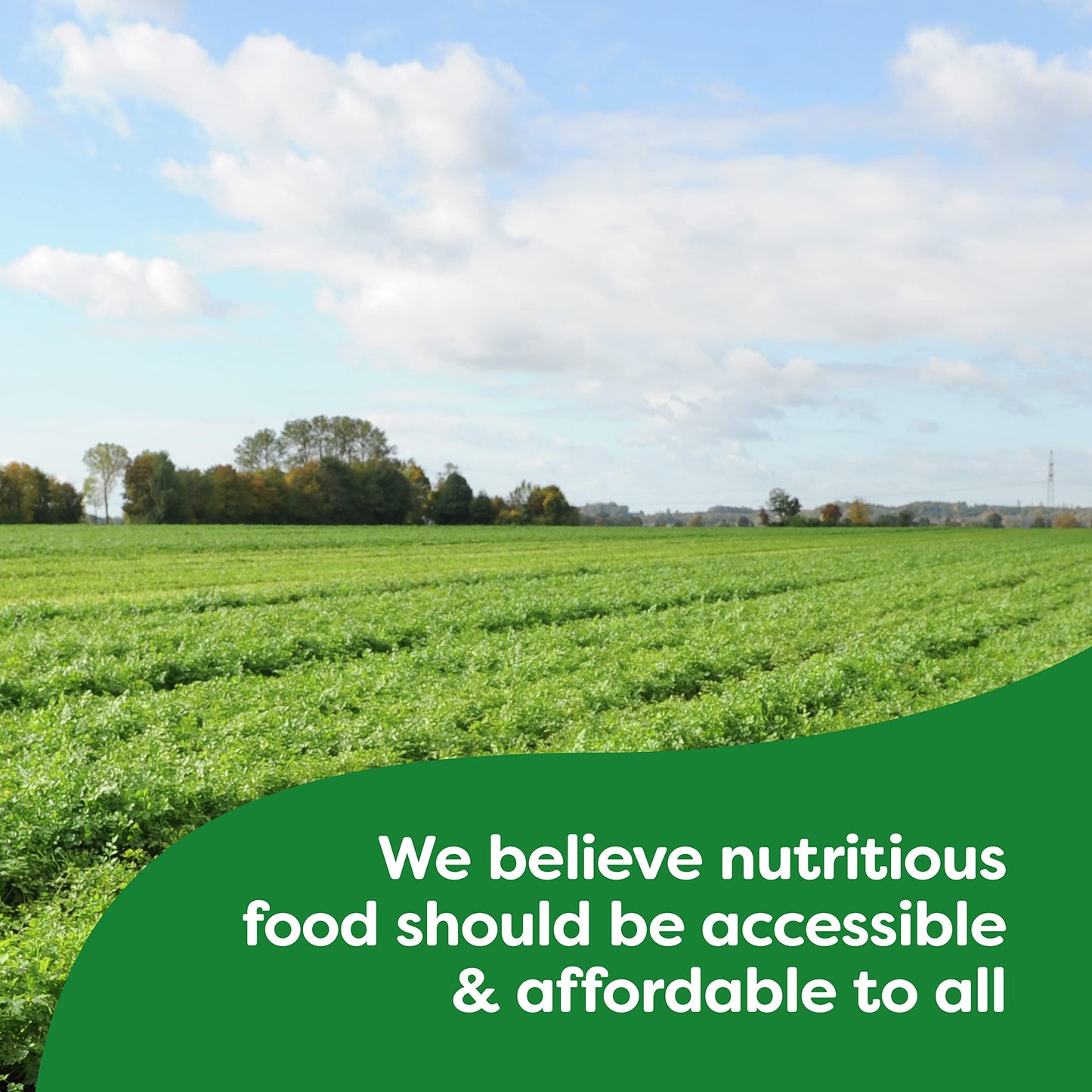 Knorr Pasta Side Dish 6 Count For Delicious Quick Pasta Side Dishes Alfredo Fettuccine No Artificial Flavors Or Preservatives 4.4 Oz