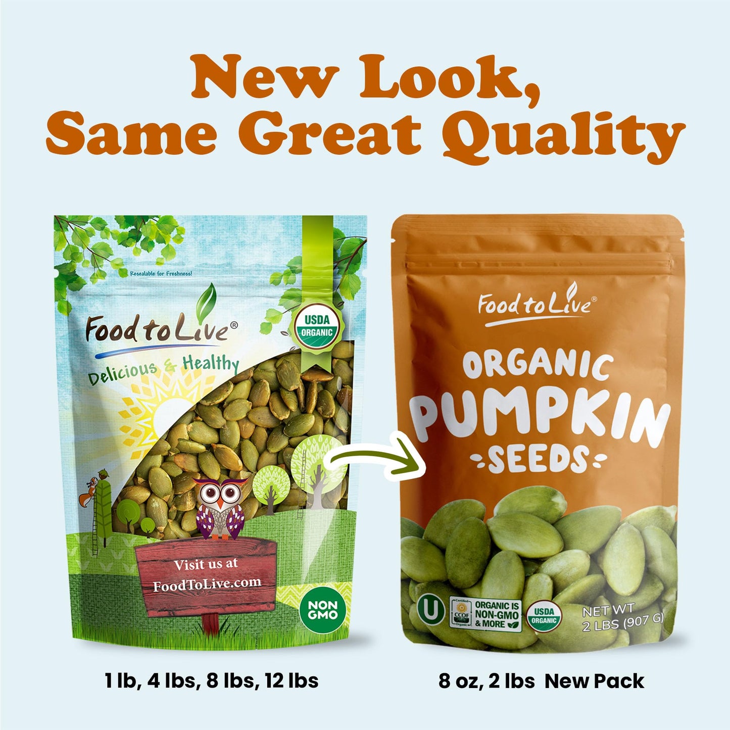 Food to Live Organic Dry Roasted Pumpkin Seed Kernels with Himalayan Salt, 8 Ounces Non-GMO, Oven Roasted Whole Pepitas, No Oil