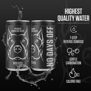 No Days Off Enhanced Sparkling Water - 24 Pack, 8.4 Fl Oz, Sparkling (Unflavored) - Ultra-Purified Reverse Osmosis With Gentle Carbonation, On-The-Go And Bulk Size