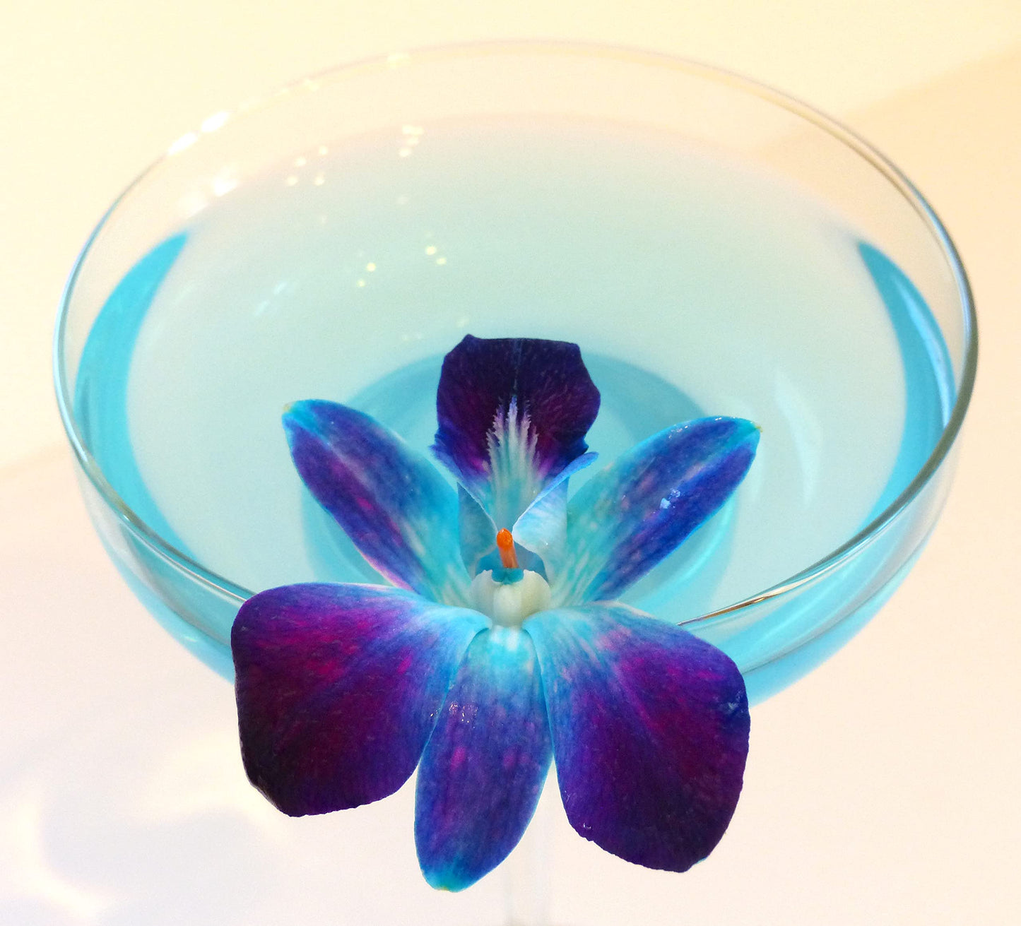 Sunne Tropical Fresh Orchid Loose Bloom Flowers 100 Blue, Model: orchidclub-bloom, Perfect for DIY Leis & Decorations