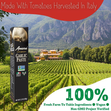 Amore Vegan Garlic Paste In A Tube - Non Gmo Certified And Made In Italy 3.2 Ounce (Pack Of 12)