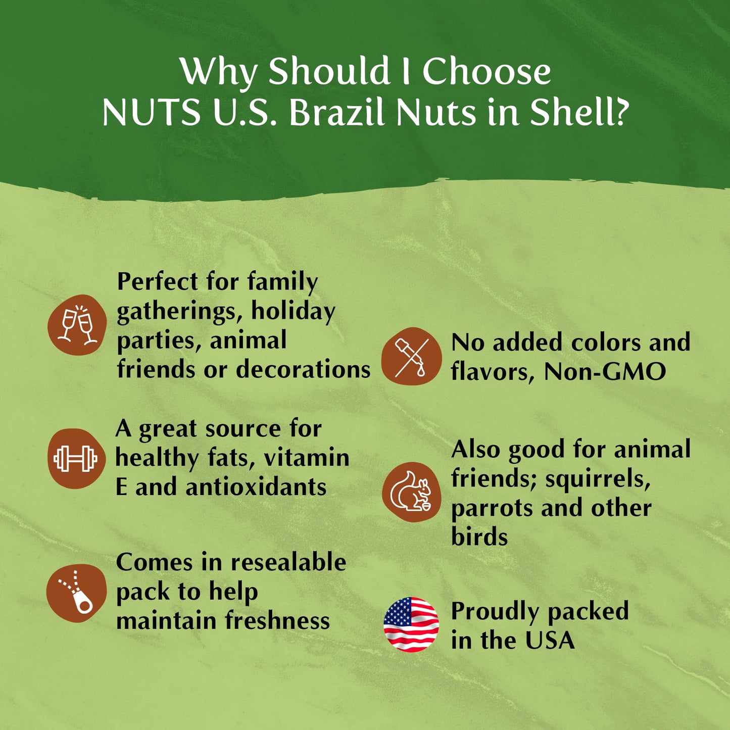 NUTS U.S. - Brazil Nuts In Shell | No Added Colors and No Artificial Flavors | Non-GMO and Natural | Fresh Buttery Taste and Raw | Pasteurized and Polished Brazil Nuts Packed In Resealable Bags!!! (6 LBS)