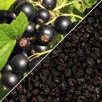 Dried Zante Currant Raisins By Its Delish, 3 Lbs Bulk Bag | Black Currants Dried Fruit For Snacking And Baking | Vegan, Kosher