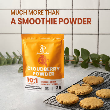 Jungle Powders Wild Cloudberry Powder for Smoothies Baking Jam 3.5 Ounce Bag Pure Nordic Freeze Dried Cloudberry Extract No Suga