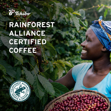 Tchibo Ground Coffee - Röst Frisch Röstmeister - Dark-Roasted Arabica Beans With Exquisite Aromas Of Bittersweet Chocolate - Intensity 5/6, Acidity 1/6, Roast Level 6/6-12 Oz - Pack Of 1