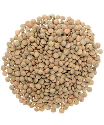 Non-Gmo Project Verified Brown Lentils | Certified Glyphosate Residue Free | 1 Lb Pouch | 100% Non-Irradiated | Kosher Parve | U