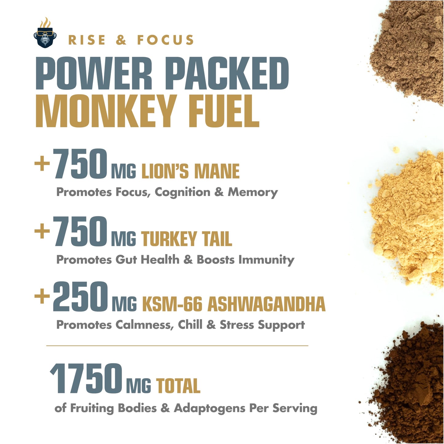 Monkey Brew Rise & Focus: Organic Dark Roast Arabica Mushroom Coffee - 1,750Mg Adaptogenic Blend W/Lions Mane, Turkey Tail, Ksm-