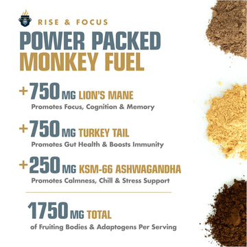 Monkey Brew Rise & Focus: Organic Dark Roast Arabica Mushroom Coffee - 1,750Mg Adaptogenic Blend W/Lions Mane, Turkey Tail, Ksm-