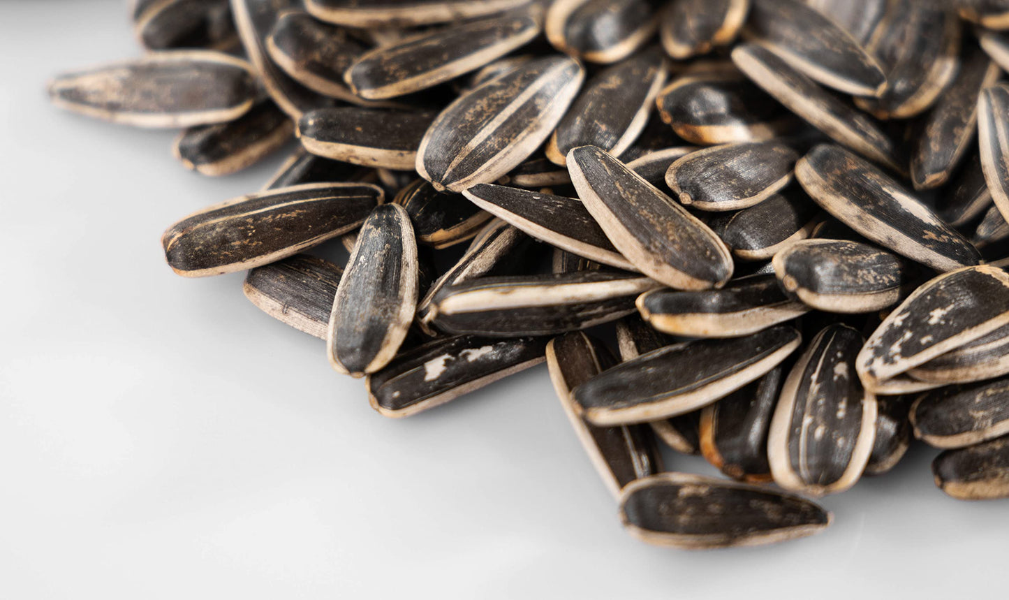 Chacha Roasted Sunflower Seeds 7 Flavor Variety Pack