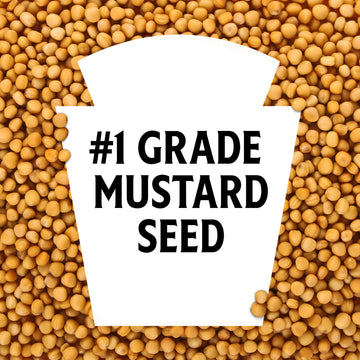 Heinz Yellow Mustard, 20 Oz Bottle